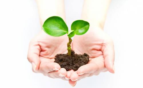 ユナイテッドマイレージの魅力とは？