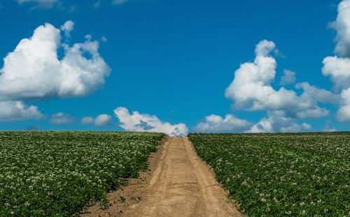 陸マイラーとは