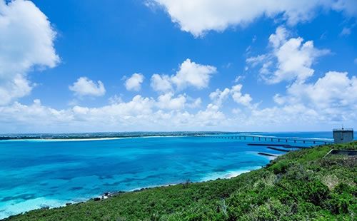 入会する方法とは？