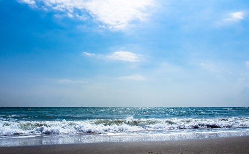 ANA SKYコインの特徴