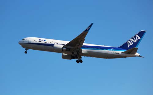 JAL、ANA比較　マイルを貯めるならどっちがいい？