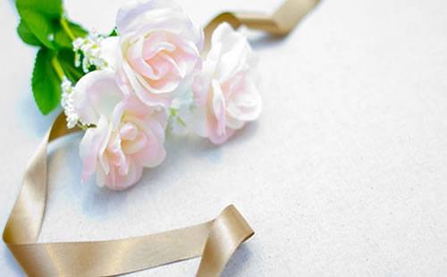 JALがキャンペーンを開始！抽選でマイルと航空券をプレゼント