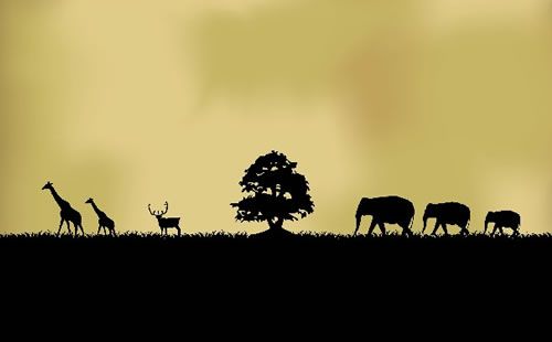 ANAがエチオピア航空とのコードシェアを発表。アフリカの6拠点に就航可能に