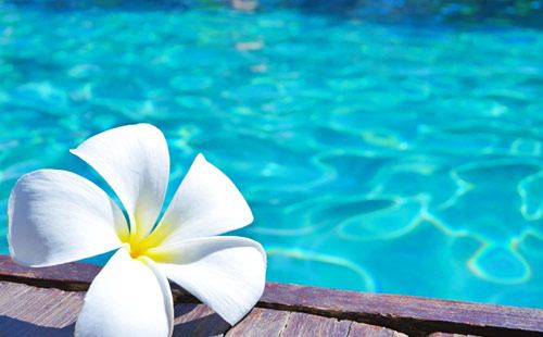 初心者こそマイルの貯まるしくみを作って効率よくマイルを貯めよう!