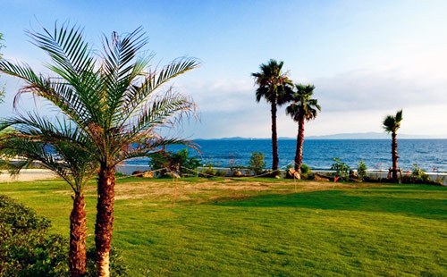 ハワイアン航空のマイルの特典と使い方