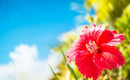 ANAの今週のトクたびマイルが遂にスタート！メリットとデメリットは？