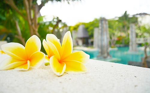 ANAカードを年会費とマイル還元率で比較！編集部おすすめの1枚も・画像