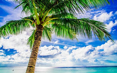 ANAカードを年会費とマイル還元率で比較！編集部おすすめの1枚も・画像