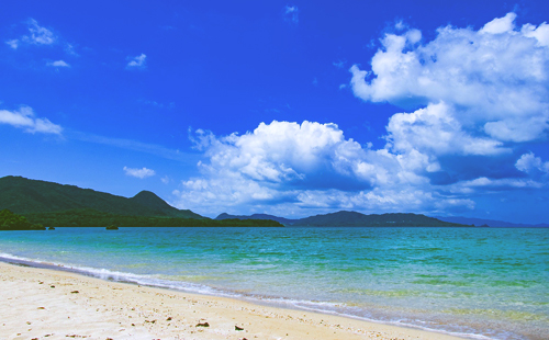 沖縄にマイル特典で行くならANAとJALどちらがお得か徹底比較